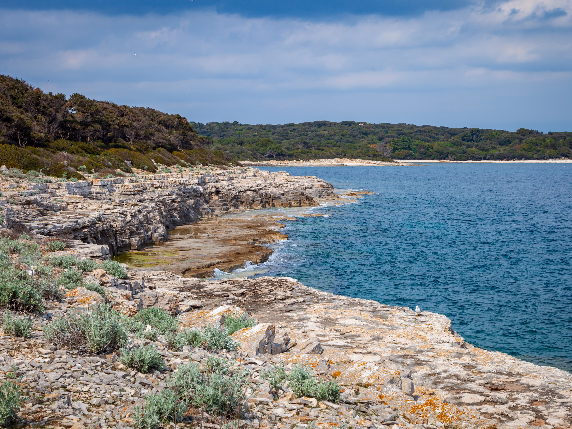 Brijuni National Park islands — safari and golf near Medulin